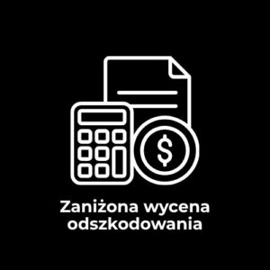 dieautofrau_icons_pomoc_rzeczoznawcy (4)